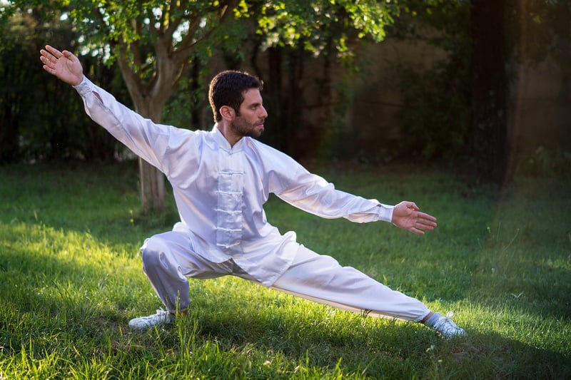 Sun Style Tai Chi Image